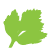 Parsley logo