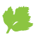Parsley logo